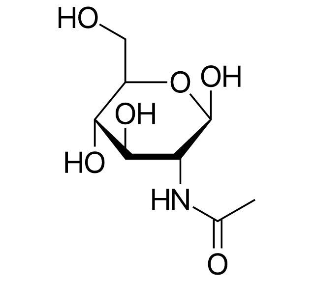 n-acetyl-glucosamine.jpg